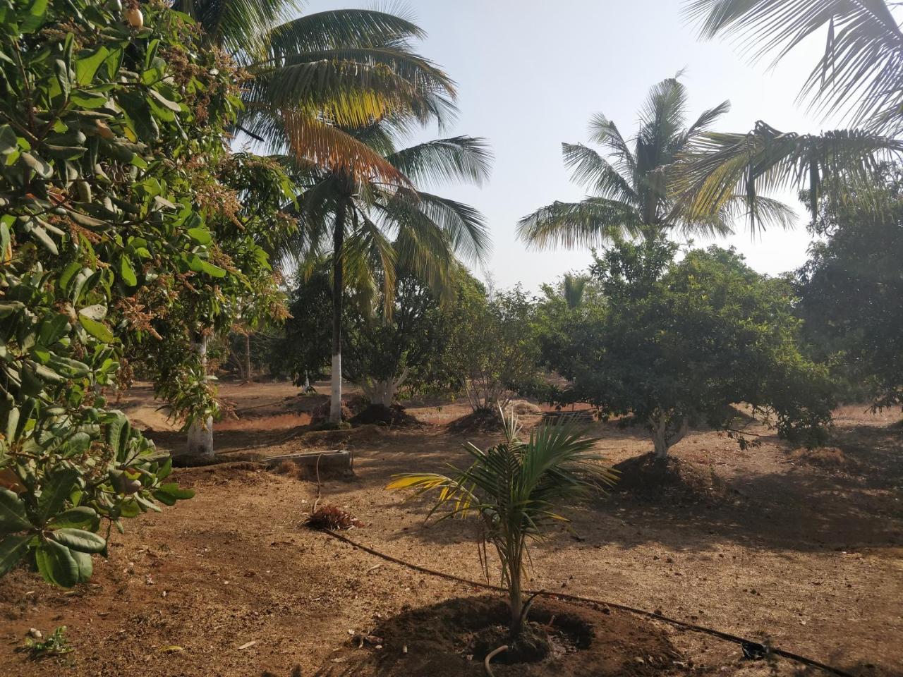 Shree Samarth Farmhouse Murud  Exterior photo